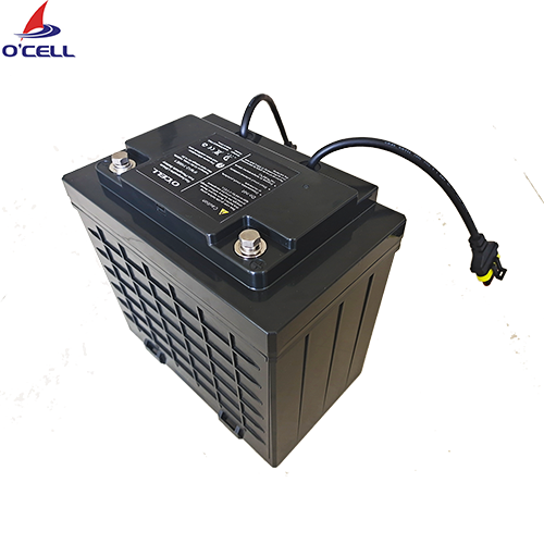 IFM12-1000E3 12V100Ah 磷酸铁锂电池组